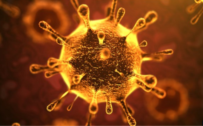 Bộ Y Tế và WHO khuyến cáo phòng chống dịch bệnh virus Corona